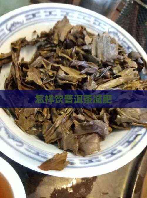 怎样饮普洱茶减肥