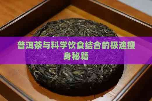 普洱茶与科学饮食结合的极速瘦身秘籍