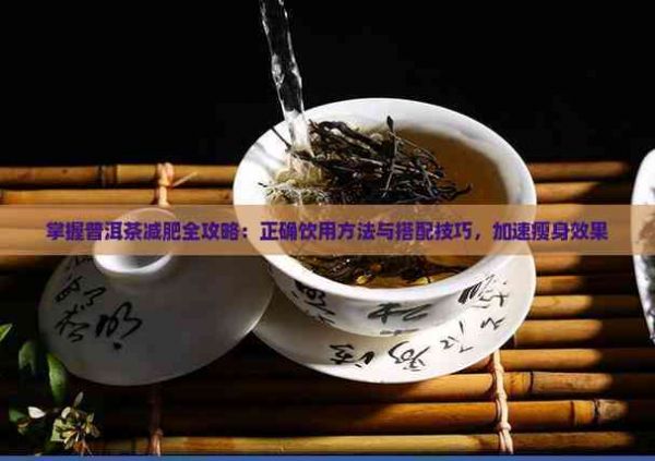 掌握普洱茶减肥全攻略：正确饮用方法与搭配技巧，加速瘦身效果