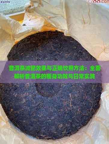 普洱茶減肥效果與正確飲用方法：全面解析普洱茶的瘦身功效與日常實踐