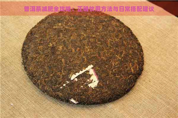 普洱茶減肥全攻略：正確飲用方法與日常搭配建議