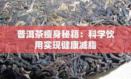 普洱茶瘦身秘籍：科學(xué)飲用實現(xiàn)健康減脂