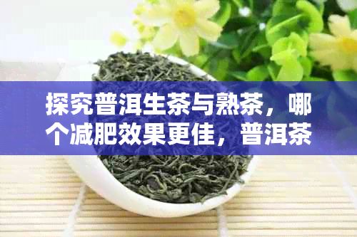 探究普洱生茶與熟茶，哪個減肥效果更佳，普洱茶健康瘦身的選擇