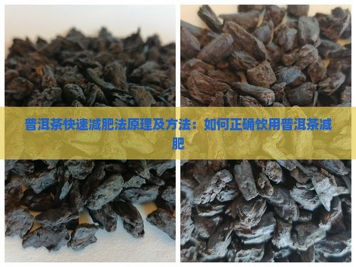 普洱茶快速減肥法原理及方法：如何正確飲用普洱茶減肥