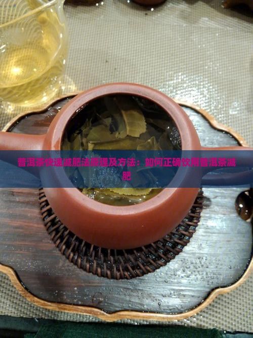 普洱茶快速減肥法原理及方法：如何正確飲用普洱茶減肥