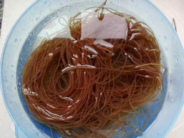 荞麦冷面夏天怎么少得了冷面呢?味道好吃,制作简单,你值得拥有