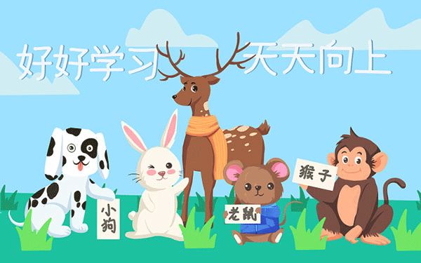 專業(yè)塑身衣哪個牌子好