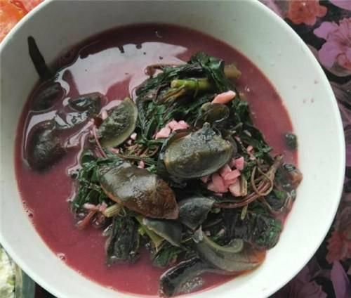 皮蛋不涼拌，和低脂高鈣菜煮，口感鮮嫩，清熱解毒還減肥！