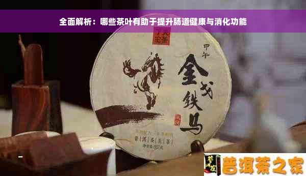 全面解析：哪些茶葉有助于提升腸道健康與消化功能