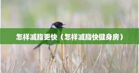 怎样减脂更快（怎样减脂快健身房）