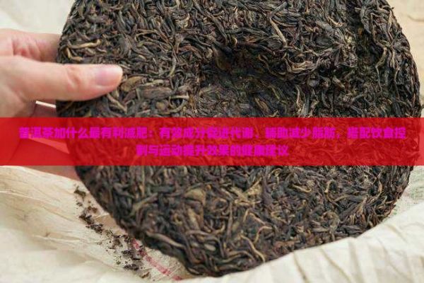 普洱茶加什么最有利减肥