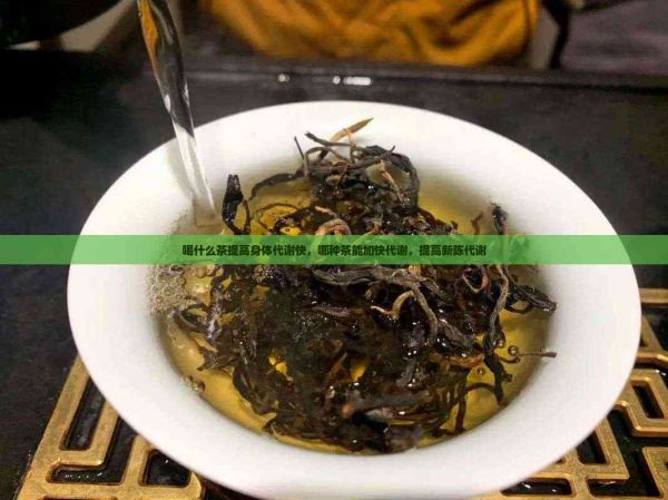 喝什么茶提高身体代谢快，哪种茶能加快代谢，提高新陈代谢