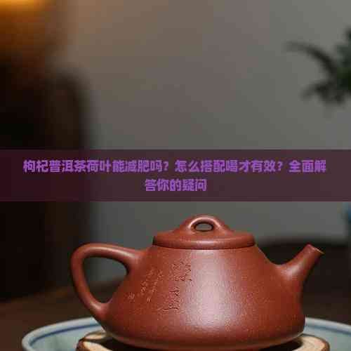 枸杞普洱茶荷叶能减肥吗？怎么搭配喝才有效？全面解答你的疑问