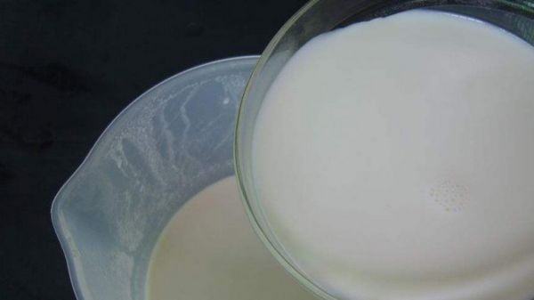 脫脂牛奶的功效與作用、禁忌和食用方法