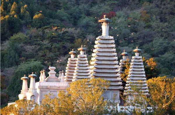 北京在行動(dòng)丨西山最美古寺，20多年來(lái)首次“封閉修繕”