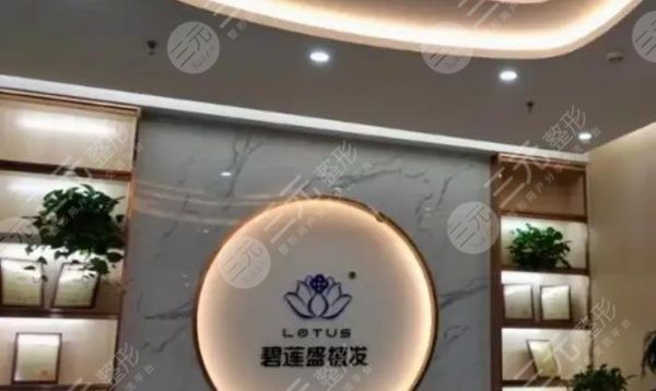 碧蓮盛