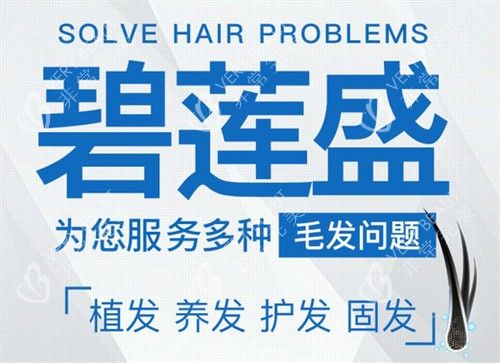 碧蓮盛植發(fā)優(yōu)勢海報