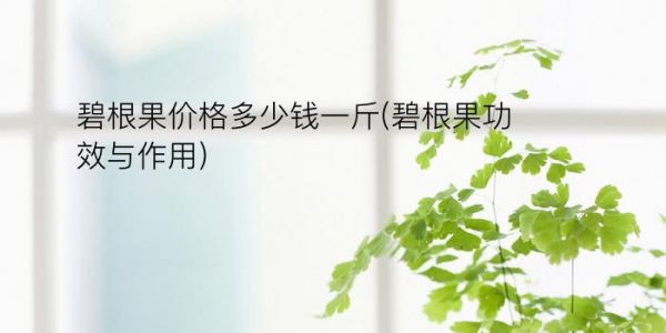 碧根果價格多少錢一斤(碧根果功效與作用)
