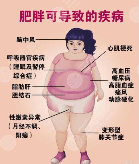 身体肥胖的影响