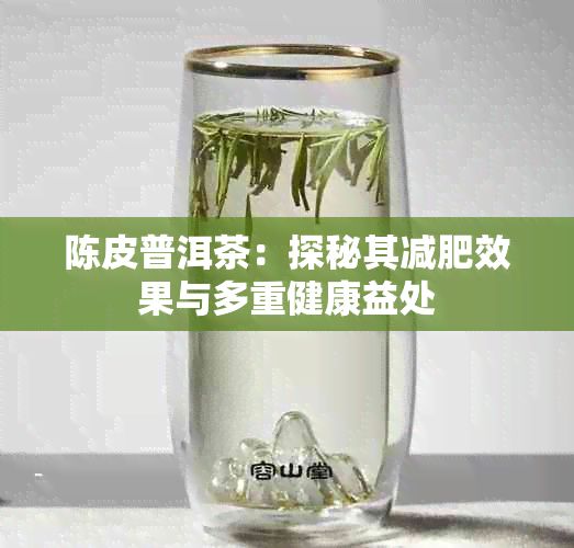 陈皮普洱茶：探秘其减肥效果与多重健康益处
