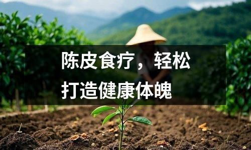 陈皮食疗，轻松打造健康体魄