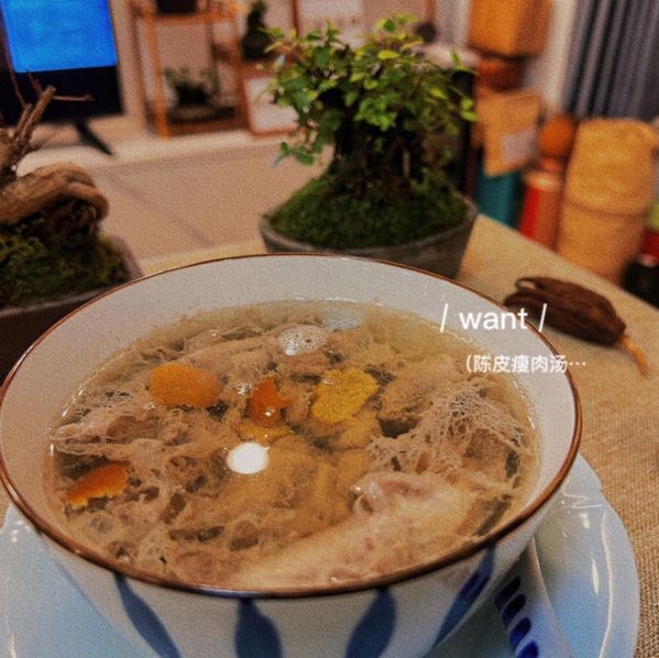 老广陈皮瘦肉汤的做法