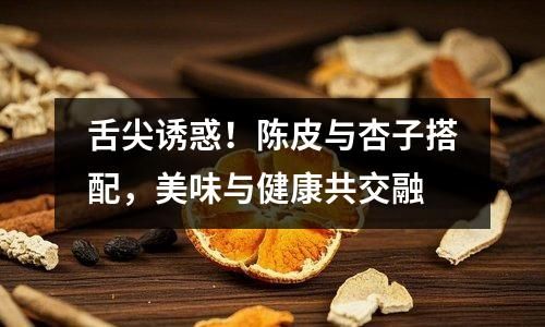 舌尖诱惑！陈皮与杏子搭配，美味与健康共交融