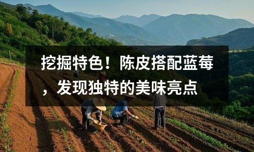 挖掘特色！陈皮搭配蓝莓，发现独特的美味亮点