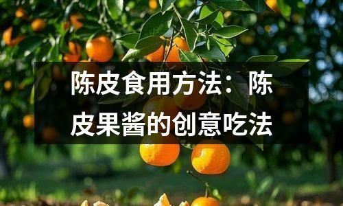 陈皮食用方法：陈皮果酱的创意吃法