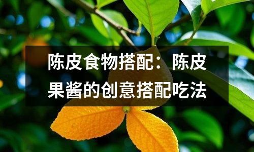 陈皮食物搭配：陈皮果酱的创意搭配吃法