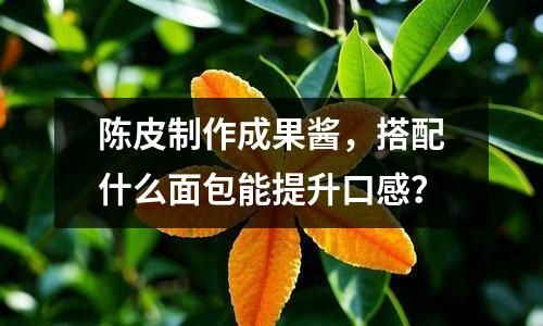 陈皮制作成果酱，搭配什么面包能提升口感？