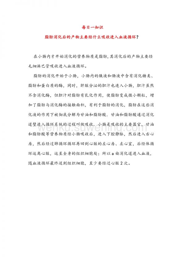 每日一知识-脂肪消化_第1页