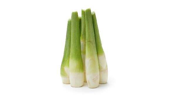 能够有效吸收脂肪的食物