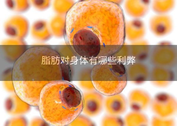 脂肪对身体有哪些利弊