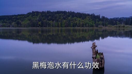 黑梅泡水有什么功效