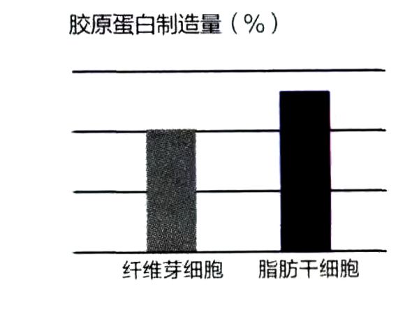 脂肪干细胞拥有和纤维芽细胞同等的胶原蛋白制造能力