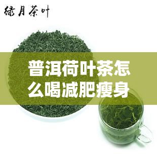 普洱荷叶茶怎么喝减肥瘦身？有无伤害及效果怎样？是真的能减肥吗？