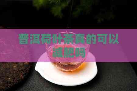 普洱荷葉茶真的可以減肥嗎