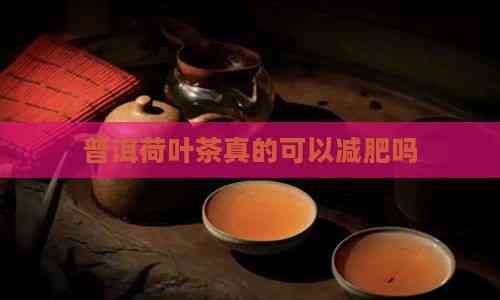 普洱荷葉茶真的可以減肥嗎