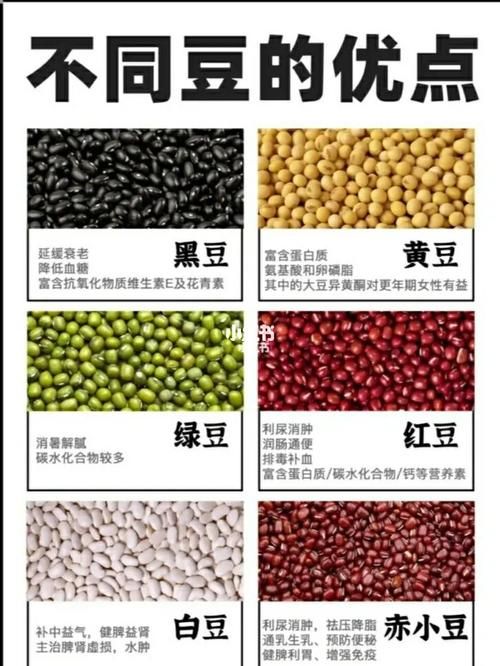黑豆红豆绿豆哪个减肥好