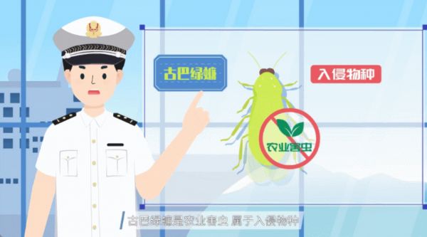 健康饮食微课教学视频如何结合趣味性和教育性？