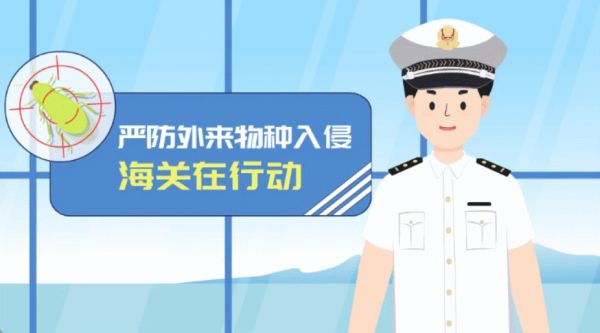 健康饮食微课教学视频如何结合趣味性和教育性？