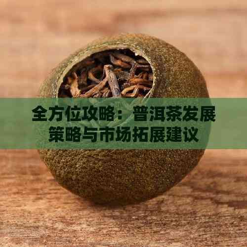 全方位攻略：普洱茶发展策略与市场拓展建议