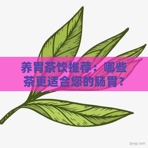 养胃茶饮推荐：哪些茶更适合您的肠胃？