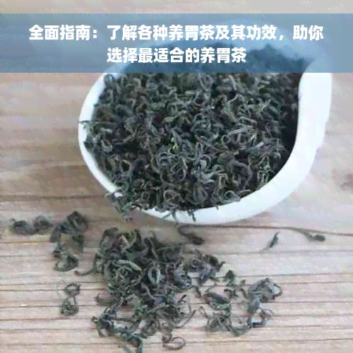 全面指南：了解各種養(yǎng)胃茶及其功效，助你選擇最適合的養(yǎng)胃茶