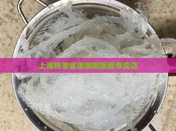 上海独家雀巢咖啡旗舰专卖店