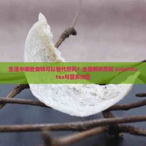 生活中哪些食物可以替代燕窝？全面解析燕窝 substitutes与营养价值