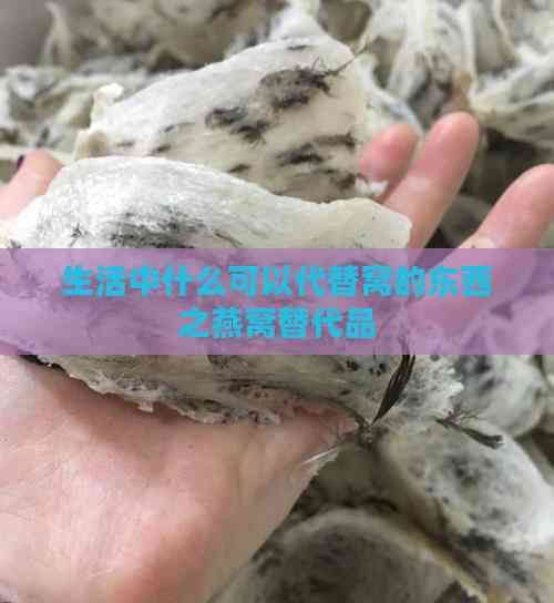 生活中什么可以代替窝的东西之燕窝替代品