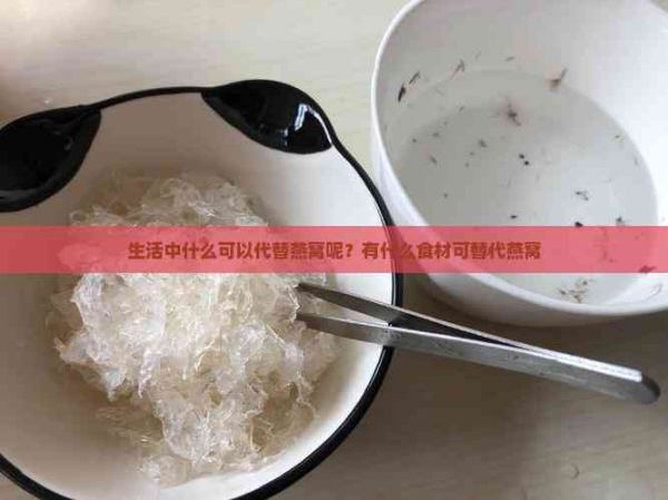 生活中什么可以代替燕窝呢？有什么食材可替代燕窝