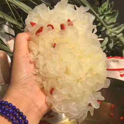 全方位解析：燕窝替代品大揭秘——厨师推荐的天然食材选择指南